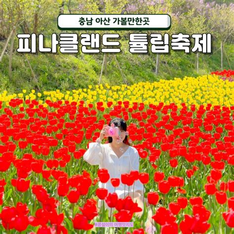 충남 아산 피나클랜드 튤립축제 입장권 할인 식당 먹거리 꽃구경 후기 네이버 블로그