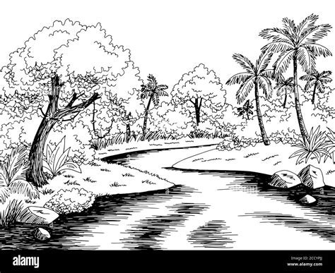 Selva río lluvia bosque gráfico blanco negro paisaje dibujo ilustración