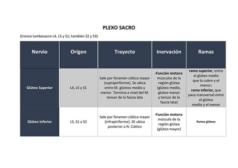 Plexo Sacro Vivianne Ni O De Guzman Miraval Udocz