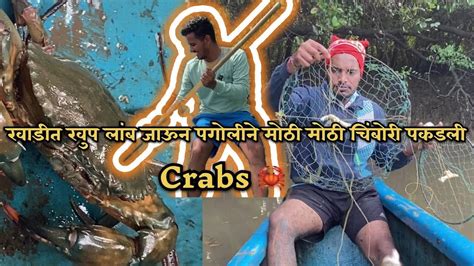 चिंबोरी Chimbori पकडण्याची सोपी पध्दत म्हणजे पगोळी आख्या Crabs