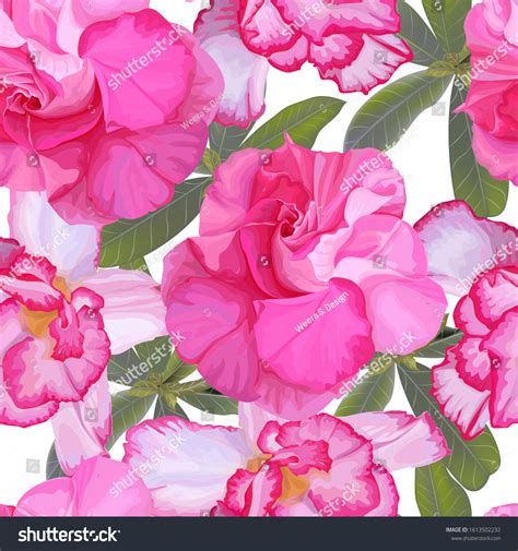 Zalea Over 3 Royalty Free Licensable Stock Illustrations And Drawings