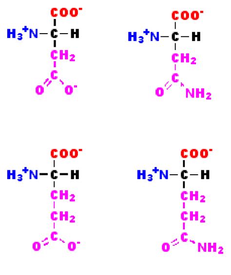 Structure Of Aspartic Acid With R Group