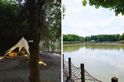 Haidilao Now Offers A Hot Pot And Luxury Camping Experience