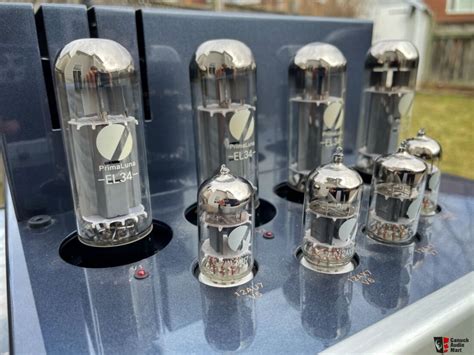 Primaluna Evo 100 Power Amplifier Photo 4915062 Canuck Audio Mart