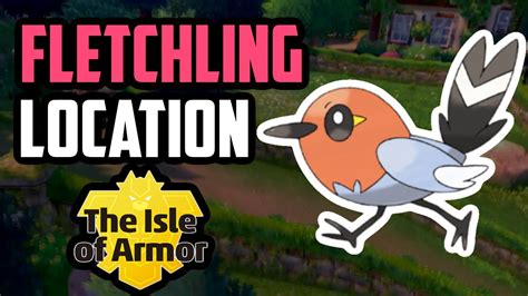 How To Catch Fletchling Pokemon Sword Shield DLC YouTube