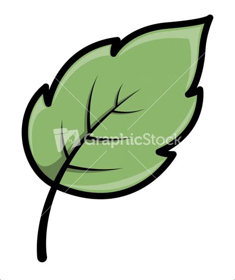 Лист яблони рисунок (Много фото) - drawpics.ru