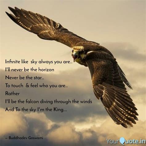 Hawk Quotes - ShortQuotes.cc