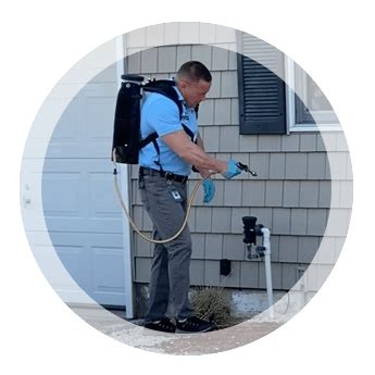 Avalon NJ Pest Control | Exterminator In Avalon NJ