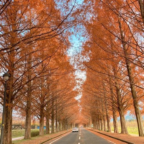 日本の秋ならではの絶景！秋のおすすめ景色23選の写真（photo By Miiiiiiさん）