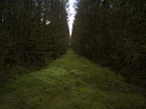 Slieveanorra Forest By Jonas Andersson