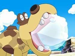 Hippopotas (anime) | Pokémon Wiki | FANDOM powered by Wikia