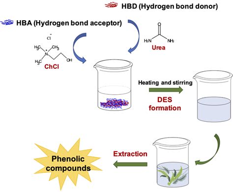 Schematic Representation Of Extraction Of Phenolic Compounds With Des