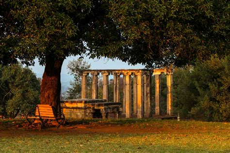 A Brief Guide To The Sacred Trees Of India Tales By Trees