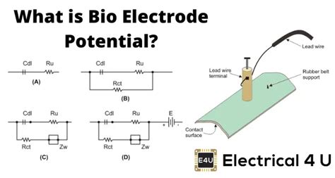 Bio Electrode Potential | Electrical4U