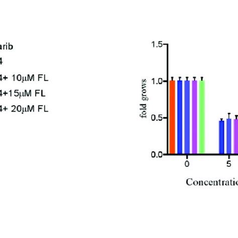 Preincubation Of Mcf Cells With Parp Inhibitor Fluzoparib Decreased