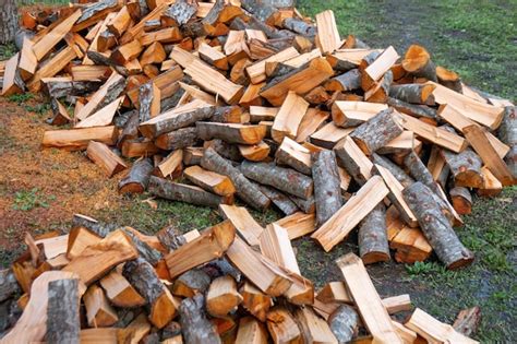 Pr Paration Du Bois De Chauffage Pour L Hiver Fond De Bois De