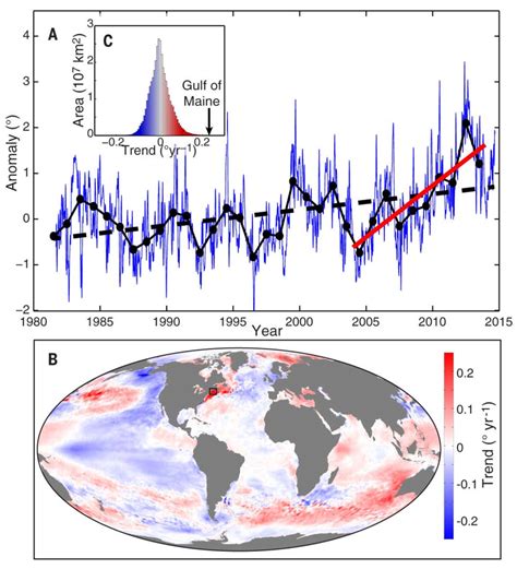 Sea Surface Temperature Trends From The Gulf Of Maine And The Global