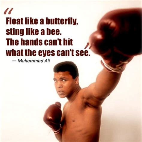 Float Like A Butterfly Pictures Photos And Images For Facebook