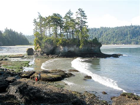 Salt Creek Recreational Area Olympic Peninsula