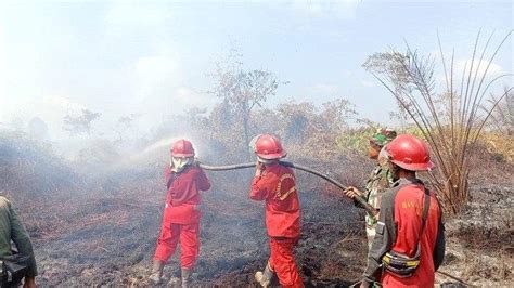 115 Hektar Hutan Dan Lahan Terbakar Januari Hingga Juli 2024