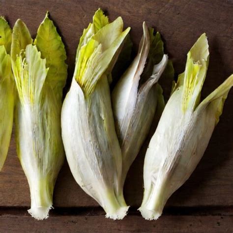 Comparing Chicory Vs Endive Nutritional Differences Culinary Uses