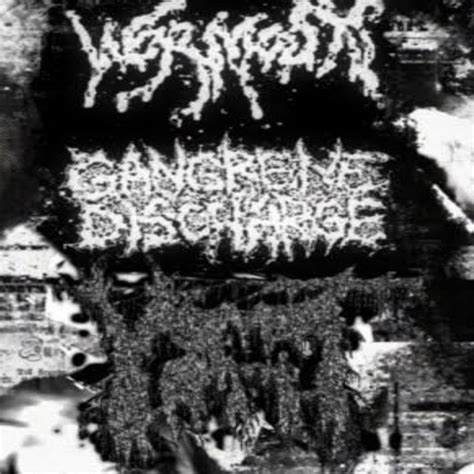 Split W Gangrene Discharge And Wormosis Vomit Bath