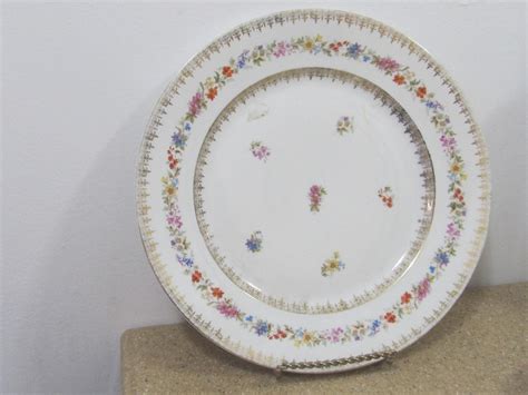 Carl Tielsch Altwasser German Porcelain Plate Etsy