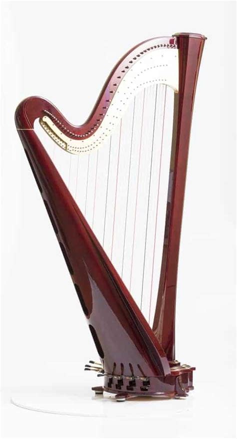 18 Different Types Of Harps Explained Verbnow