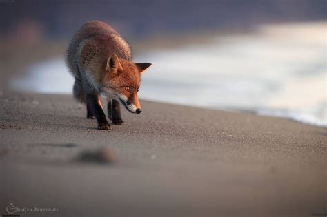 Andrea Benvenuti Gallery 45 Sublime Nature Photographs Italian Artist