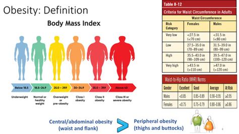 Obesity Flashcards Quizlet