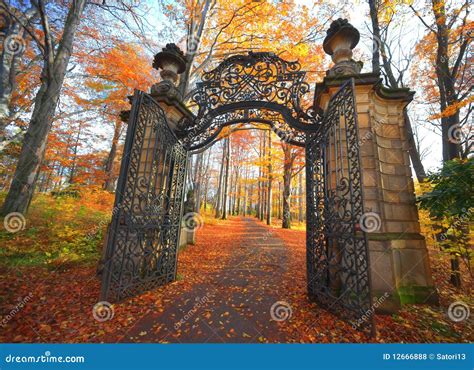 Gate In Park Royalty Free Stock Photos - Image: 12666888