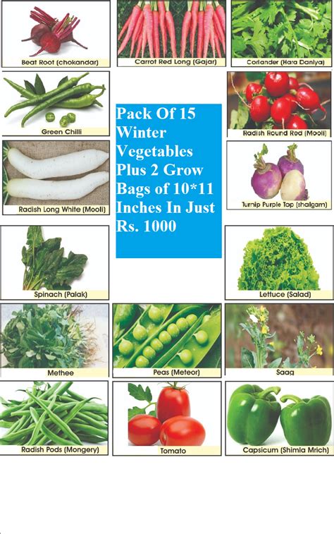 Vegetables Deal With 2 Grow Bags Sunny View Seeds Buy Seeds Bulbs