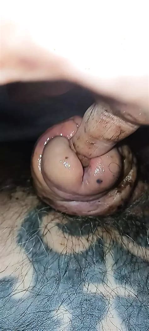 Vidéos porno de petites bites gay en et films de bites minuscules xHamster