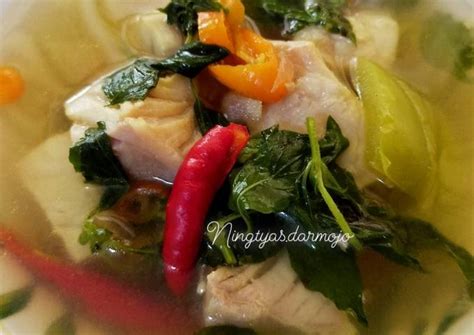 Resep Sop Ikan Kakap Fillet Oleh Ningtyas Darmojo Cookpad