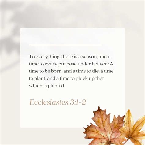 Beautiful Bible Verses for Fall - Megan Allen Ministries