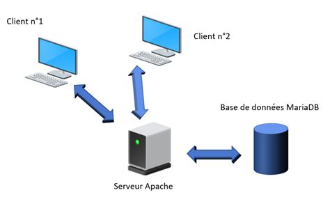 Base De Données 1