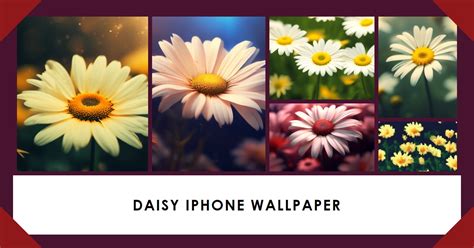 10 Stunning Daisy iPhone Wallpaper to Brighten Your Screen » POPULERIMG