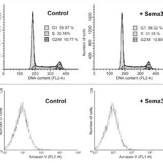 Determination Of The Proliferative And Survival Capacity Of C6 Cells In