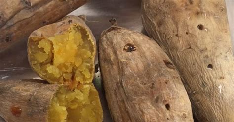 186 Resep Ubi Cilembu Enak Dan Sederhana Cookpad