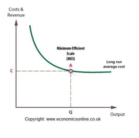 Minimum efficient scale