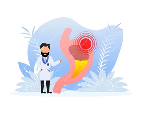 Желудок человека здоровая и нездоровая анатомия пищеварительной системы ...