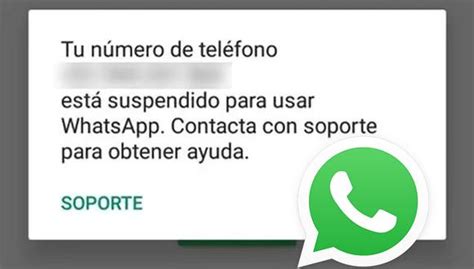 Qué hacer si tu número de WhatsApp está suspendido solución DATA MAG