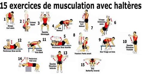 Chambre Affecter Rapidement Exercices Dos Poids Vingt H Tesse Amateur