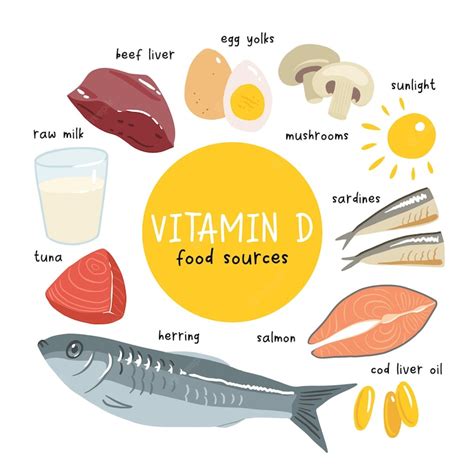 Premium Vector | Collection of vitamin d sources food enriched with cholecalciferol dairy ...