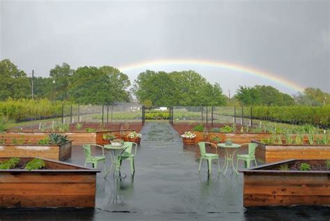 Bob Wells Nursery At Sorelle Farms Updated December Photos