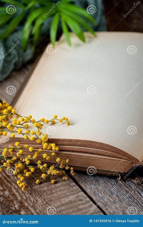 Libro Abierto Con Las P Ginas En Blanco En Una Tabla De Madera Vieja