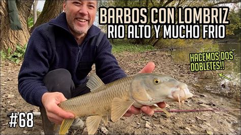 Nos volvemos locos a pescar Barbos con Lombriz Mucho frio y río en