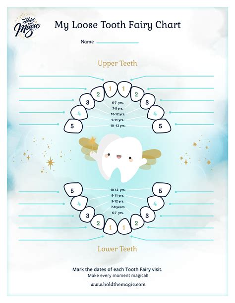 Baby Teeth Chart With The Tooth Fairy Printable Lost Tooth Track