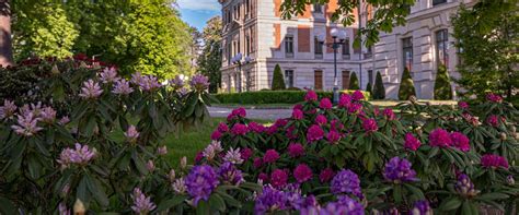 Strona Główna Muzeum Zamkowe w Pszczynie