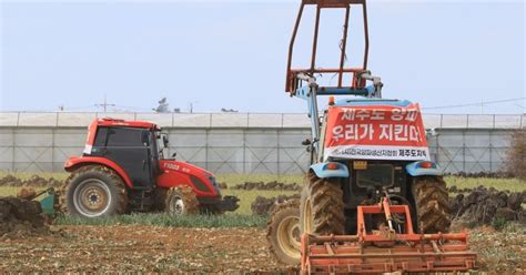 양파 가격 폭락에 밭 갈아엎은 제주 농민들